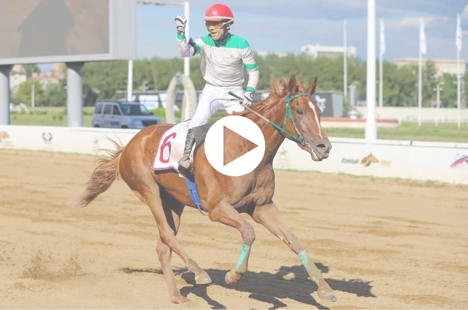 Победа Пионер Гел