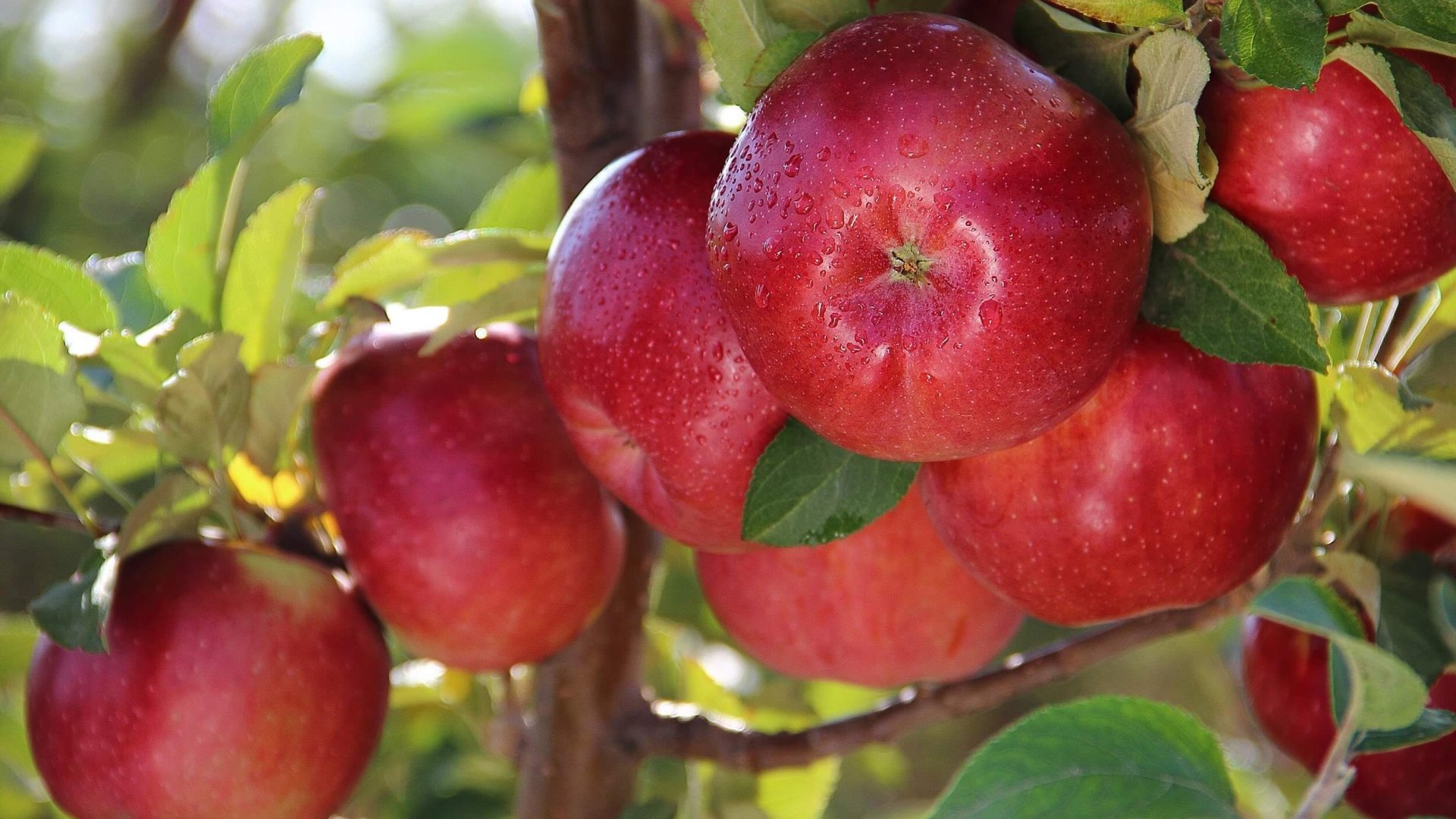 Направление деятельности фото