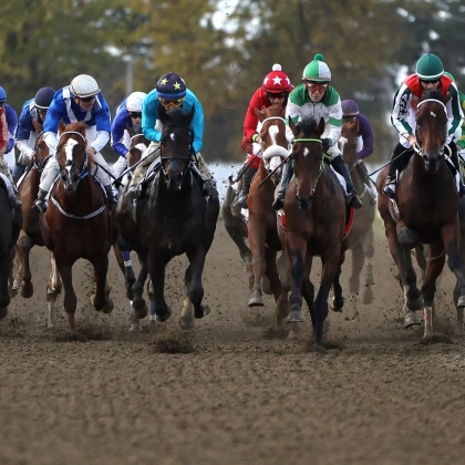 Сады Придонья выступили титульным спонсором скачек фото номер 2