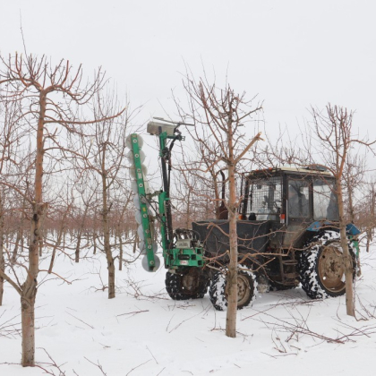 Самый большой в России индустриальный сад готовится к сезону - 2026 фото номер 2